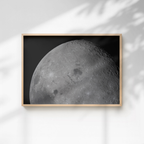 A Moment with the Moon