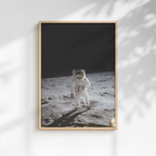 The Visor Shot - Buzz Aldrin, Apollo 11